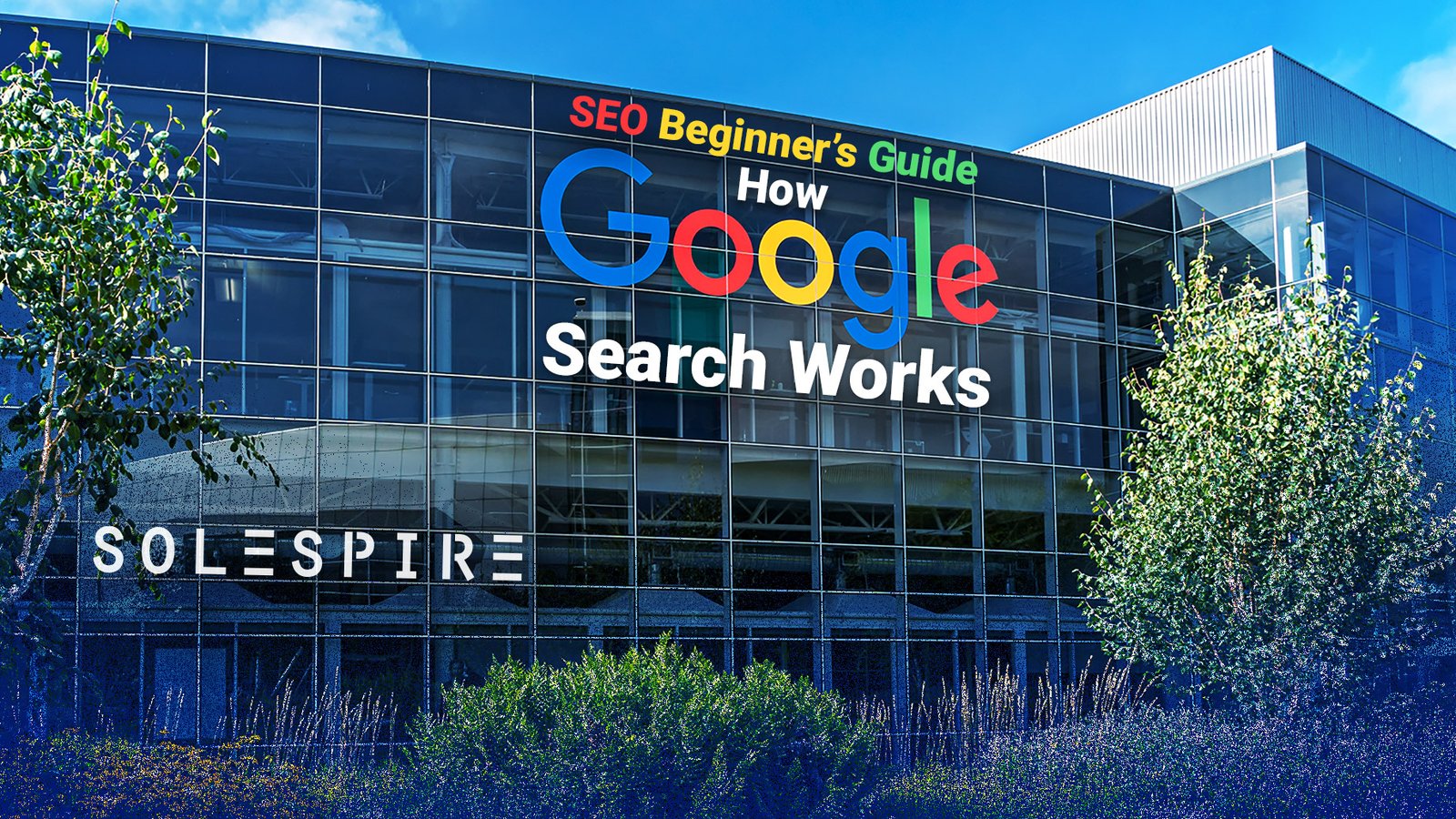 How SEO Works for Websites: A Beginner’s Guide to Ranking on Google
